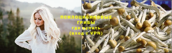 твердый Лиски