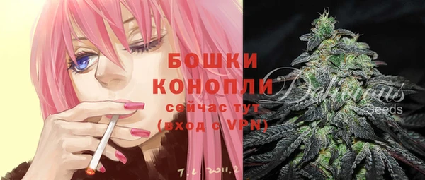 мдпв Майский