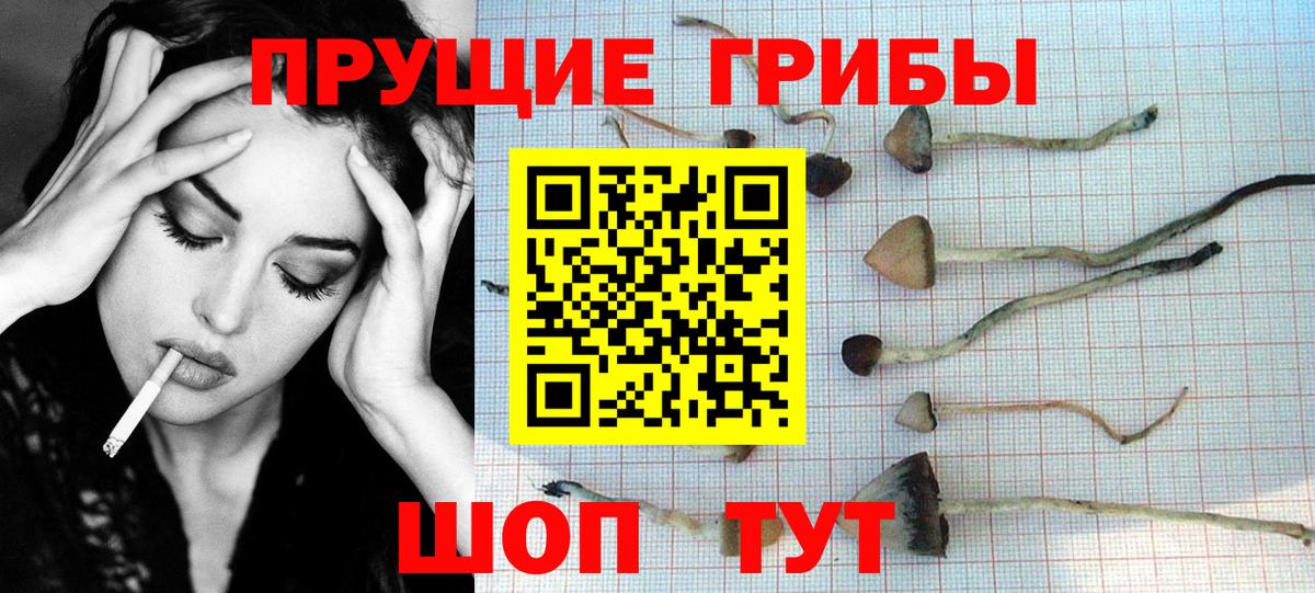 Псилоцибиновые грибы мухоморы Улан-Удэ